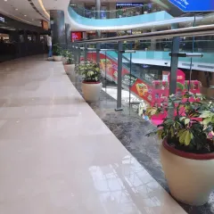 In this shopping mall, we used large, elegant planters with Schefflera plants along the upper-level walkway. This adds a touch of nature to the modern interior, making the shopping experience more pleasant and calming.