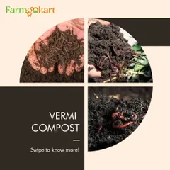 I love using vermicompost to enrich my soil. It's an easy, organic way to give your plants the nutrients they need to thrive.