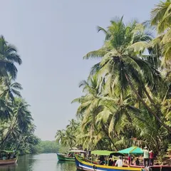 A boat ride through the serene backwaters lined with coconut trees, a unique part of our Kumta to Gokarna journey.