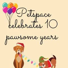 We recently celebrated 10 pawsome years of Petspace! It's been a decade of wagging tails, wet noses, and unconditional love. Thank you to our wonderful community for being part of our journey.