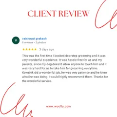I understand that some dogs are anxious about being touched. My patient approach, as mentioned in this review, is designed to make even the most nervous pets feel safe.