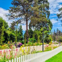 A view of the flower-lined driveway, where we planted rows of seasonal flowers to create a vibrant and welcoming entrance for guests.