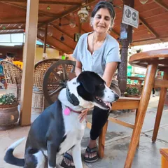 A well-behaved dog sits calmly by the table while his owner relaxes. This shows how our balanced training can help dogs enjoy public spaces, and we love welcoming such good canine citizens to the ranch.