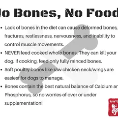 Bones are a crucial part of a dog's diet for calcium and phosphorus. This guide explains the right way to feed them, emphasizing that you should never feed cooked whole bones.