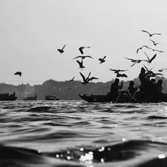 A silhouette of a boat filled with people on the Ganga, surrounded by a flock of birds. This black and white image captures the energy and movement of life on the river.