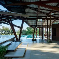 An interior view of the Lateral Verandah House, where the structure itself becomes a piece of art. A tree grows through the deck, a constant reminder that the architecture is a guest on this land, designed to coexist with, rather than conquer, nature.
