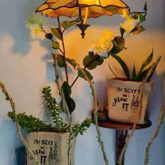 Plants can be fun and cheeky too. These jute grow bags with the quote 'I'M SEXY AND I GROW IT' add a playful touch to this indoor plant display, showing how greenery can reflect your personality.