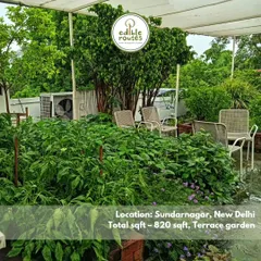 This lush 820 sqft terrace garden in Sundar Nagar, New Delhi, is a perfect example of a thriving urban farm. It's a peaceful retreat and a source of daily fresh produce for the family.