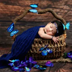 A newborn sleeps peacefully in a rustic basket, wrapped in a deep blue cloth and surrounded by butterfly props.