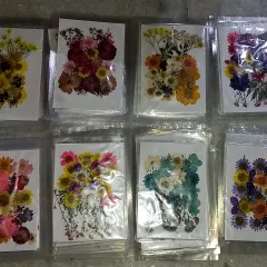 Packets of pressed flowers, ready for your crafting projects. Using real flowers in your work adds a beautiful, high-end feel to your handmade products.