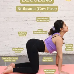 Understanding a pose is the first step to mastering it. Our educational guides break down foundational asanas like Bitilasana, or Cow Pose, detailing each point of alignment from your wrists to your gaze. This focus on precision helps improve spinal mobility and ensures a safe practice.