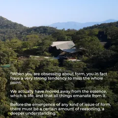 A quote that captures my belief that we must move away from an obsession with form and return to the essence, which is life. Before any issue of form can emerge, there must be a certain amount of reasoning and a deeper understanding of the project's purpose.