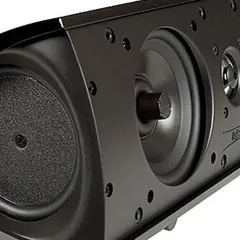 This is the Definitive Technology ProMonitor 1000, a compact satellite speaker that delivers surprisingly big sound. Its unique design with a side-mounted bass radiator allows it to produce deep lows from a very small enclosure, perfect for surround sound.