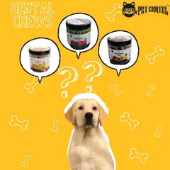 Dental health is crucial for your dog's overall well-being. We offer a variety of dental chews, like these from Goofy Tails, to help reduce plaque and tartar buildup.