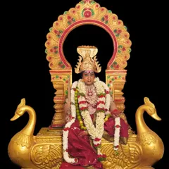 A full-body depiction of a goddess look, complete with traditional attire, elaborate crown, and dramatic makeup. This is a sample of the fantasy looks we teach in our advanced course.