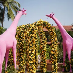 To bring a touch of playful wonder to a Haldi, I designed this entrance with a lush sunflower arch flanked by two surreal, life-sized pink giraffes. It was a whimsical statement that set a joyful tone for the celebration.