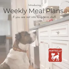 Not ready for a long-term commitment? No problem. We listened to your feedback and introduced Weekly Meal Plans, so you can give fresh food a try for a week of bliss.