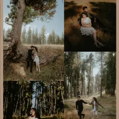A four-panel collage from a pre-wedding shoot in a forest, showing the couple in various poses: resting by a tree, walking hand-in-hand, and sharing intimate moments in the woods.