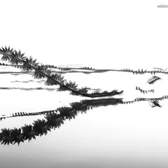 'CHAOS'. An ornithograph of swallows, their frantic flight paths creating a beautiful, abstract pattern over the water's reflection.
