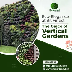 Experience the grace of vertical gardens, a perfect example of eco-elegance. These living walls are ideal for Bangalore's urban homes, adding a lush, green statement piece to any wall, indoors or out, without taking up valuable floor space.