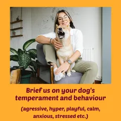 Tip 2: Let us know about your dog's temperament. Whether they are anxious, playful, or a bit grumpy, this information helps us tailor our approach to make them comfortable.