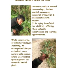 A look at a mindful nature walk activity for kids. An attentive walk in natural surroundings fosters mental awareness, sensory stimulation, and a reconnection with nature.