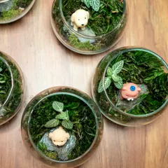 An overhead view of several mini bowl terrariums, each with a different cute animal miniature. These handcrafted pieces bring tranquility and charm to your living space.