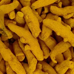 A close-up of whole turmeric fingers. We grind our own spices like this to ensure the flavour and health benefits in our pickles are absolutely pure and potent.
