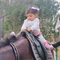 Another angle showing a toddler enjoying her first ride. Our horses' calm demeanor makes these adorable, worry-free photo opportunities possible.