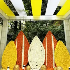 We honor tradition by weaving it into stunning visual stories. This vibrant backdrop, made entirely of fresh marigolds and jasmine, was the heart of a Myra ceremony, creating a sacred space that felt both grand and deeply personal.