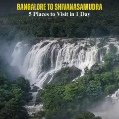 My one-day trip to Shivanasamudra covers 5 amazing places, including the magnificent Gaganachukki and Bharachukki falls. It's a power-packed day of nature and exploration.