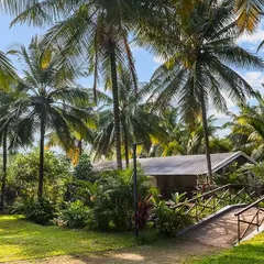 A beautiful resort cottage surrounded by towering palm trees and tropical foliage. This image perfectly captures the feeling of a secluded, natural paradise, inviting guests to unwind and explore.