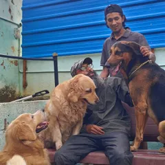 A big group hug with some of our Golden Retrievers and a German Shepherd. My staff and I are part of the pack.