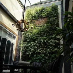 This indoor vertical garden is installed in a narrow courtyard with a skylight. The tall green wall, combined with the elegant chandelier, creates a dramatic and sophisticated dining atmosphere.