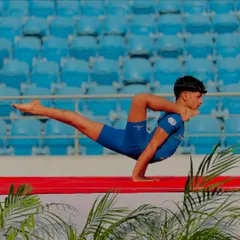 A powerful arm balance pose, captured during a yoga competition. This demonstrates the level of strength and precision we train for.
