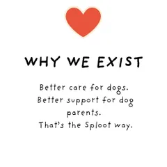 Our mission is simple: Better care for dogs, and better support for dog parents. That's the Sploot way.