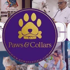 This collage represents our 360-degree lifestyle experience. From our vet checking on a husky to a woman relaxing with her cats, it shows how every part of our brand is designed to support the bond between pets and their people.