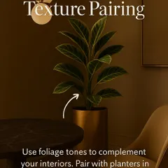 A complete guide to styling with indoor plants. Learn about achieving balance through scale and proportion, creating luxury by pairing textures, and using plants for zoning in open layouts.