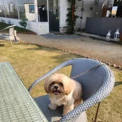 A happy guest enjoying a seat at the table. We have plenty of outdoor seating where your pets can relax with you.