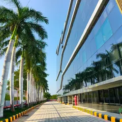 We specialize in large-scale commercial landscaping for corporate campuses and IT parks. This project at SIPCOT IT Park features a clean, modern design with royal palms lining the driveway, creating an impressive entrance for employees and visitors.