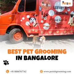 As the best pet grooming service in Bangalore, my van is my office. It's fully equipped to handle all your pet's needs right at your doorstep.