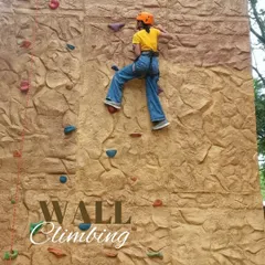 The only way is up. Our wall climbing activity is a safe and exciting challenge for all skill levels, helping you build strength and confidence one hold at a time.