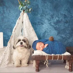 A family's first protector. This unique newborn portrait features the family dog sitting patiently beside the sleeping baby, showcasing a very special kind of sibling bond.