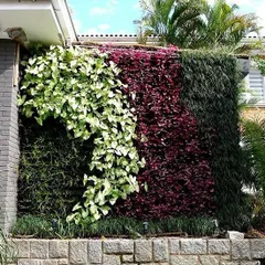 I can create flowing, organic patterns with plants. This wall uses three different plant varieties to create a wave-like design that adds movement and artistry to the exterior.