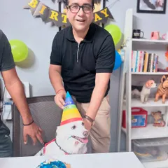 Getting the birthday boy ready for his party. Complete with a colorful hat and a 'Happy Birthday' banner, we made sure Bunni's celebration was festive and fun.