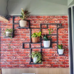 Even a simple pantry wall can become a source of fresh air and beauty. I installed this custom geometric shelf to hold a variety of "oxygen bombs" for the office staff to enjoy.
