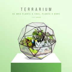 We also offer hands-on workshops, like this terrarium-making session at The Plant Festival. These workshops are a fun way to learn a new skill and create your own miniature green world to take home.