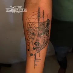 A creative wolf tattoo that is half realistic portrait and half geometric line art, with pine trees integrated into the design.