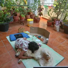 Our sunny patio is the perfect place for our granddaughter and our guests to lounge and share secrets. Here she is cuddling with a sweet Golden Retriever. It's beautiful to see the special bond that forms between children and dogs.