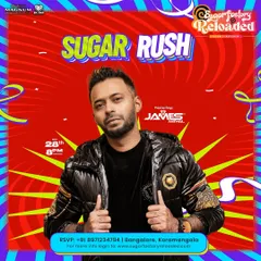 A poster for the "Sugar Rush" Saturday night at Sugarfactory Reloaded, highlighting my specialty in Bollywood mashups.